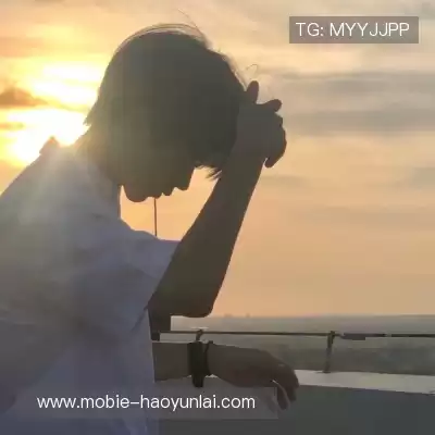 赵鸽